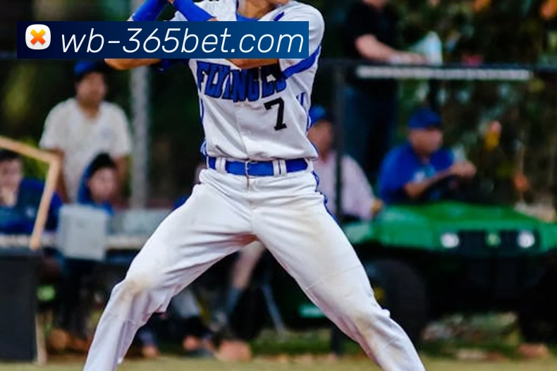 365bet平台生态图